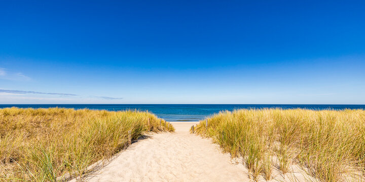 Dune path with marram grass leading to Baltic Sea beach in Dierhagen