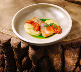 Elegant salmon dish served with creamy mashed potatoes on a rustic wooden table