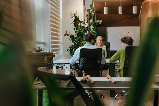 Business colleagues having a discussion at office desk with plants