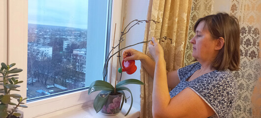 Woman caring for orchid plant by window with city view  