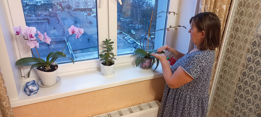 Woman caring for potted plants on windowsill with city view  