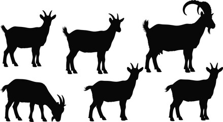 Silhouette goat vector set, grazing, standing, horns, black animal shapes, farm livestock, wild goat, nature, design, illustration