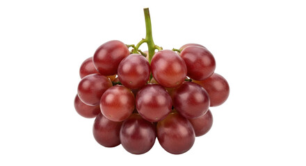 Isolated bunch of red grapes with stems and shiny skins, healthy food choice, ripe and fresh