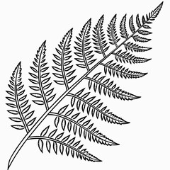 Uniform Graphic Texture Delicate Lace Fern Pop