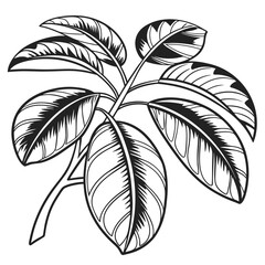 Pop Art Rubber Plant Leaf