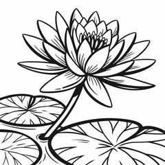 Art Large Water Lily Pad Outline