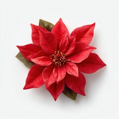 Vibrant poinsettia flower arrangement.