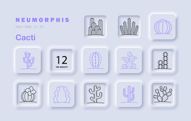 Cacti set icon. Shows various cactus plants with different shapes, spines, pads, blossoms, columnar and rounded forms, number badge