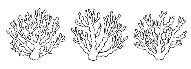 Three black and white hand drawn branching coral outlines on a white background. Isolated transparent background ( include cut-out PNG file ).
