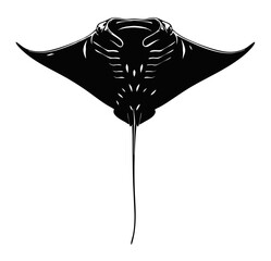 Black silhouette manta ray underside view white markings Isolated transparent background ( include cut-out PNG file )