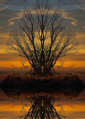 Fototapeta premium Morgenrot