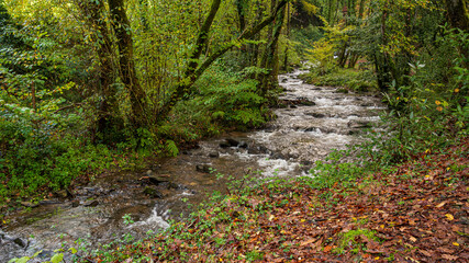 Gandarás River and Batan