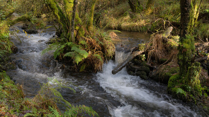 Gandarás River and Batan
