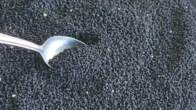 Closeup of black cumin seeds, showing texture and detail. Colon cleansing, worm and parasite control, vitamins, and health benefits concept