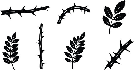 Black silhouette thorn branches and leaves set isolated on white background with sharp pointed thorns natural design elements