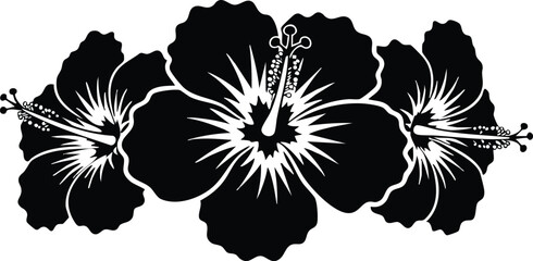 Black silhouette of three hibiscus flowers with detailed stamen and petals isolated on white background