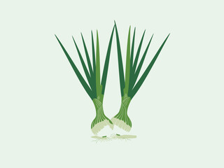 This clean vector illustration showcases a pair of fresh spring onions, emphasizing healthy eating and freshness, capturing the essence of agriculture and vitality in visuals.