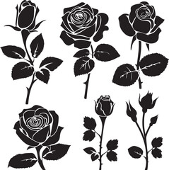 Black and White Rose Silhouette Collection

Elegant Rose Line Art Floral Set

Vintage Rose Silhouette Botanical Illustration