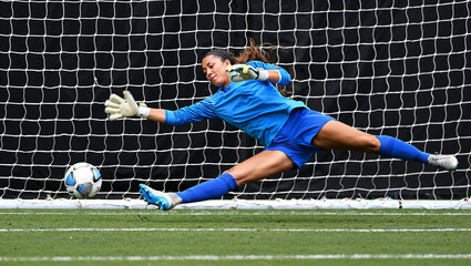 Determined female English goalkeeper diving to save ball in intense moment. Concept of defense, athletic reflexes, sports training materials, competitive football visuals, emotional tension.