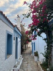 Scenic street in Alonnisos island, Greece, with traditional stone pathways, whitewashed houses, colorful wooden doors, and blooming bougainvillea. Peaceful Mediterranean atmosphere, narrow alleys with