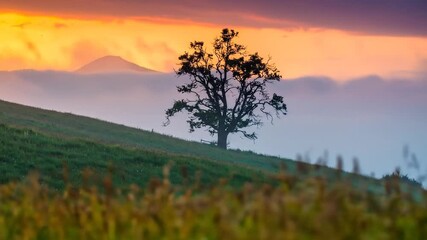 A lone tree silhouette against a vibrant sunset sky, on a grassy hillside above misty hills - Powered by Adobe