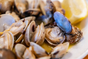 Clams from Galicia, La Coruña, (Corunna), Galicia, spain