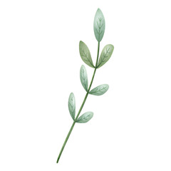 Watercolor green botanical leaf illustration with soft textured details for natural themed mockups