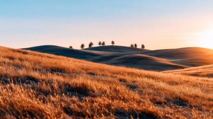 Beautiful rolling hills covered in golden dry grass, illuminated by early sunrise with a minimalist tree line on the horizon