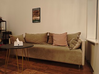 Cozy minimalist psychotherapy office interior soft olive green sofa with pillows black round coffee table tissue box modern relaxation therapy room calm atmosphere wooden floor natural light comfort