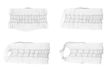 Human teeth wireframe with four distinct types in symmetrical arrangement, each displaying unique shape, size, and intricate texture patterns on a clean white background.
