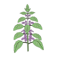 A vintage style illustration depicting flower wreath