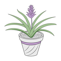 A vintage style illustration showing aloe vera