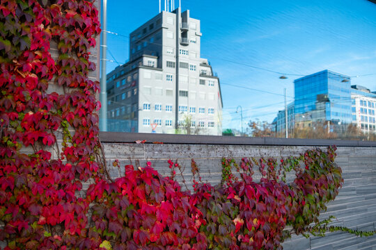 Greenery textures contrasting architecture in an urban landscape park of Oslo Norway advancing city detail appeal through urban design and public space communication