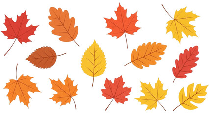 Collection of colorful autumn leaves isolated on white background