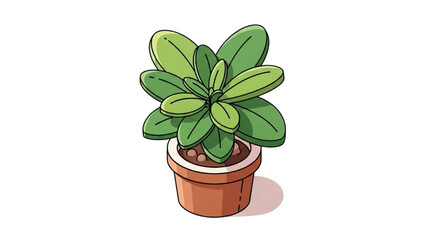Plant Illustration Green Leaves in Pot - Fresh Indoor Decoration