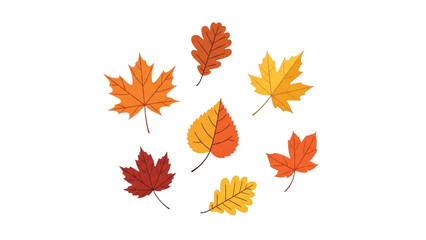 Fototapeta premium Colorful autumn leaf collection featuring maple, oak, and other foliage designs
