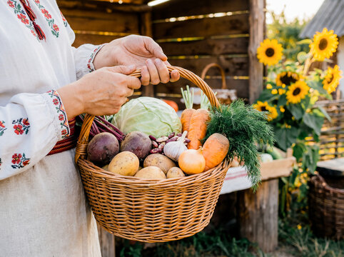 Ukrainian woman holding basket with fresh vegetables for borscht in village traditional embroidered shirt vyshyvanka organic food ingredients harvest garden agriculture rural lifestyle healthy  - Powered by Adobe
