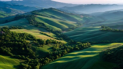 Naklejka premium Vibrant green hills and valleys at sunrise in a peaceful countryside landscape
