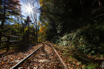 秋の大井川ダム湖廃線の小道