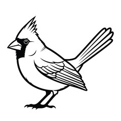 Obraz premium Line art illustration of a northern cardinal bird, a common north american songbird known for its crest, isolated on white. isolated on white background, Vector, illustration