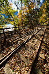 秋の大井川ダム湖廃線の小道