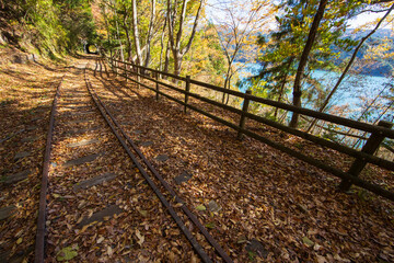 秋の大井川ダム湖廃線の小道
