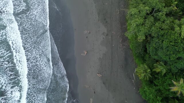 Cahuita beach 