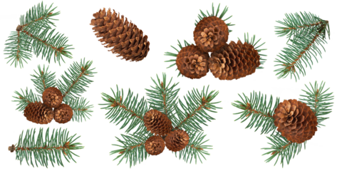 Collection of pine cones and evergreen fir branches isolated on white background, perfect for Christmas, winter decorations, natural designs, and festive holiday compositions. PNG file.