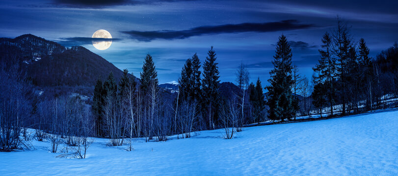 snow covered slope with forest in springtime at night. beautiful panorama of mountainous countryside landscape in full moon light. birch and spruce trees. backdrop for fiction art or mystery concepts