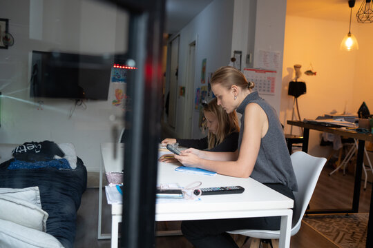 Mother and daughter studying at home