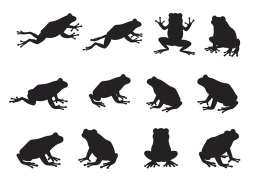 Frog Silhouettes Diverse Poses and Perspectives for Creative Projects