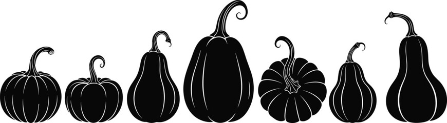 Pumpkin gourd silhouette set, autumn harvest vector, botanical diversity, seasonal vegetable shapes, fall decor icon, flat black illustration