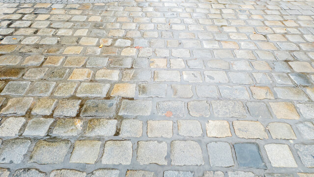 Cobblestone pavement on a rainy day showcases shiny stones with reflective water. Perfect for illustrating urban settings and traditional architecture.