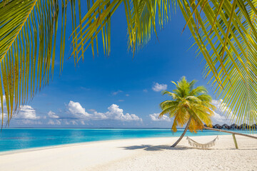Fototapeta premium Majestic tropical beach landscape, ultimate summer vacation destination shore. Amazing palm tree swing relaxing leaves, pristine blue sea, bright sunshine sand sky. Popular Maldives background travel